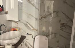 Apartament 2 camere, Paleu