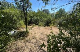 De vânzare teren intravilan de 1511 mp în Cartierul Podgoria 