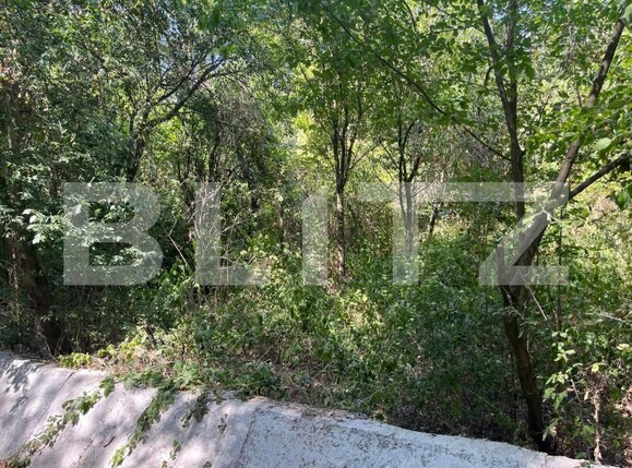 Teren de vânzare Podgoria - 203567TV | BLITZ Oradea | Poza4