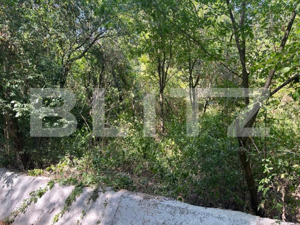 Teren de vânzare Podgoria - 203567TV | BLITZ Oradea | Poza4