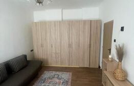 Apartament 1 camera de inchiriat, 40 mp, zona Ultracentrala