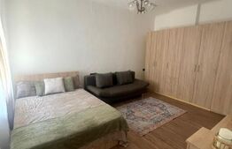 Apartament 1 camera de inchiriat, 40 mp, zona Ultracentrala