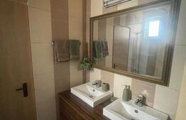 Apartament 1 camera de inchiriat, 40 mp, zona Ultracentrala