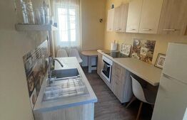 Apartament 1 camera de inchiriat, 40 mp, zona Ultracentrala