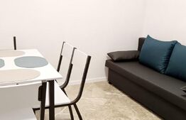 Apartament 1 camera de inchiriat, 35 mp, zona Centrala  