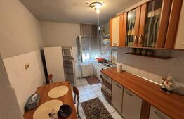 Apartament 2 camere, 46 mp, cartierul Nufarul