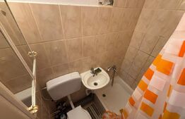 Uscatorie de inchiriat, 16 mp, zona Sanmartin