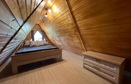 Casa A-Frame, 130 mp, piscina incalzita, teren 6600 mp, zona Baile Felix