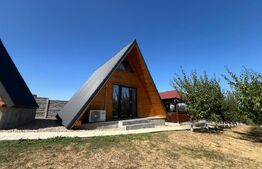 Casa A-Frame, 130 mp, piscina incalzita, teren 6600 mp, zona Baile Felix