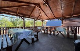 Casa A-Frame, 130 mp, piscina incalzita, teren 6600 mp, zona Baile Felix