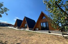 Casa A-Frame, 130 mp, piscina incalzita, teren 6600 mp, zona Baile Felix