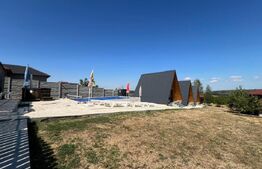 Casa A-Frame, 130 mp, piscina incalzita, teren 6600 mp, zona Baile Felix