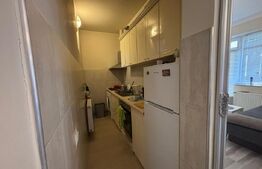 Apartament la casa de inchiriat, 3 camere, 50 mp, zona Ultracentrala
