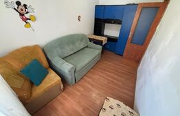Apartament cu 2 camere, de vanzare, 31 mp, zona Nufarul
