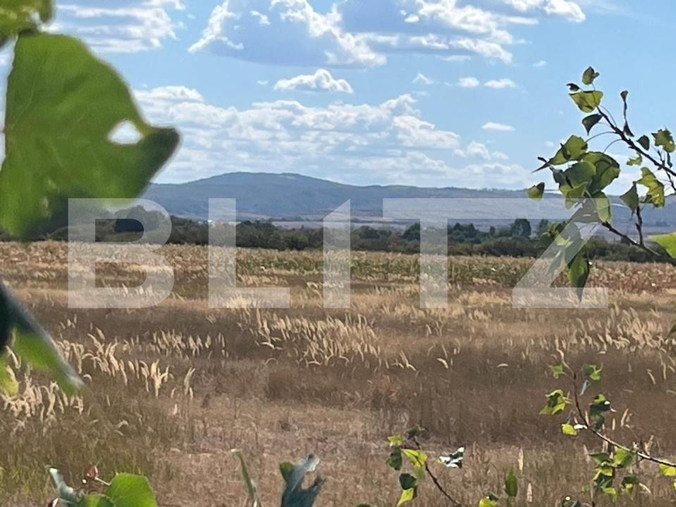 Teren de vânzare Tileagd - 204827TV | BLITZ Oradea | Poza2