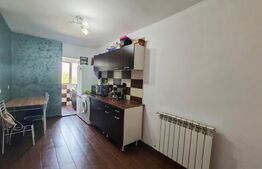 Apartament 1 cameră, 25 mp, zona Rogerius