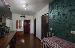 Apartament 1 cameră, 25 mp, zona Rogerius