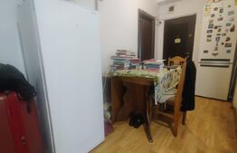Apartament cu o cameră, 32mp, Ioșia 