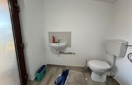 Casă modernă plan parter, 114 mp utili, mobilată, garaj  – Sântandrei