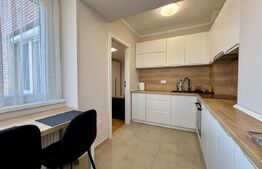 Apartament 1 camera, tip D, Nufarul, renovat recent