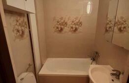 Apartament 1 camere, 30 mp, zona Velenta