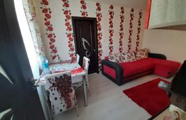 Apartament 1 camere, 30 mp, zona Velenta