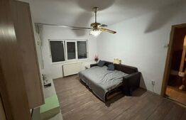 Apartament 2 camere, cart Nufarul, 40mp de vanzare