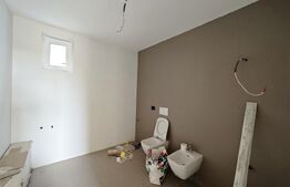 Casa 110 mp, teren 650 mp, zona Paleu
