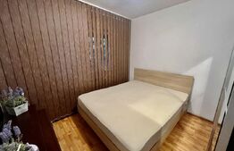 Apartament 2 camere de inchiriat, 50 mp, zona Dacia
