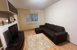 Apartament 2 camere de inchiriat, 50 mp, zona Dacia