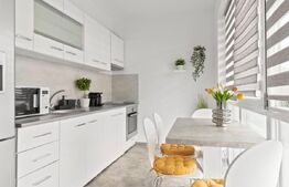 Apartament cu 3 camere, 60 mp, terasa+gradina, zona Xenopol 