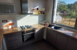 Casa individuala de vanzare, 162 mp, teren 264 mp, zona Parcul Bratianu