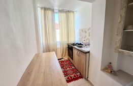 Apartament tip D, 32 mp, zona Nufarul 