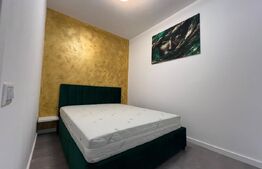 Apartament cu 2 camere de închiriat— Sânmartin 