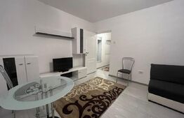 De inchiriat apartament 2 camere – Zona Centrală / Universității 