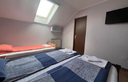 Ofertă închiriere pensiune– ideală pentru muncitori / corporate, în Băile 1 Mai 