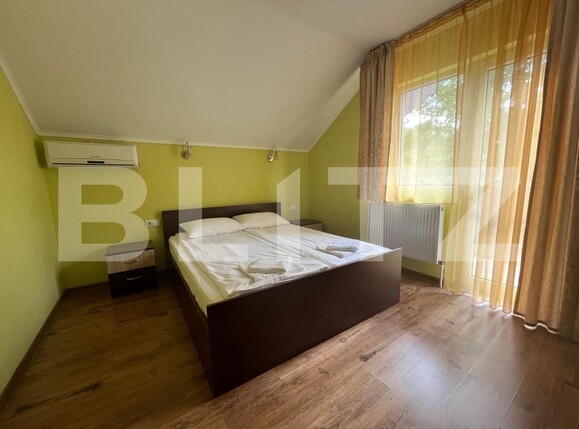 Casa de închiriat 10 camere Haieu - 206912CI | BLITZ Oradea | Poza13