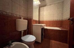 Apartament cu 2 camere, 55 mp, zona Decebal