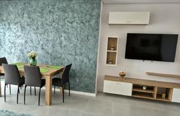 Apartament 2 camere, 55 mp, zona Central