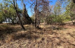 Teren spectaculos de 7.928 mp în Urvind – Vedere panoramică la barajul Crișului 