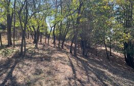 Teren spectaculos de 7.928 mp în Urvind – Vedere panoramică la barajul Crișului 