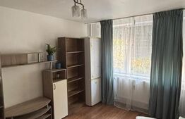 Apartament de închiriat 2 camere Central - 207390AI | BLITZ Oradea | Poza1