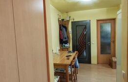 Apartament cu 3 camere, 66 mp, zona Dragos Voda