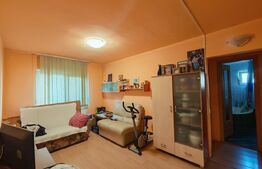 Apartament cu 3 camere, 66 mp, zona Dragos Voda