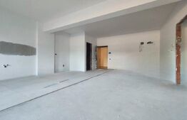 Apartament 2 camere in zona ultracentrala cu vedere la Crisul Repede