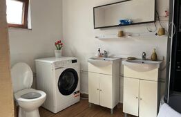 Pensiune rustic-modernă de vânzare în Damiș, Bihor – Independentă energetic