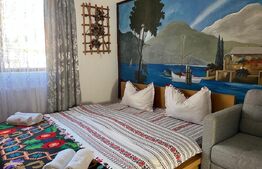 Pensiune rustic-modernă de vânzare în Damiș, Bihor – Independentă energetic
