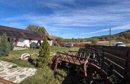 Pensiune rustic-modernă de vânzare în Damiș, Bihor – Independentă energetic