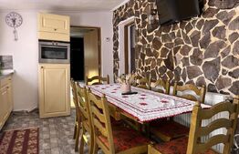 Pensiune rustic-modernă de vânzare în Damiș, Bihor – Independentă energetic