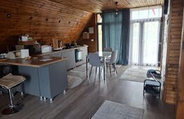 Casă A-Frame cu godpodarie completă și proprietate deosebită pe 9.587 mp 